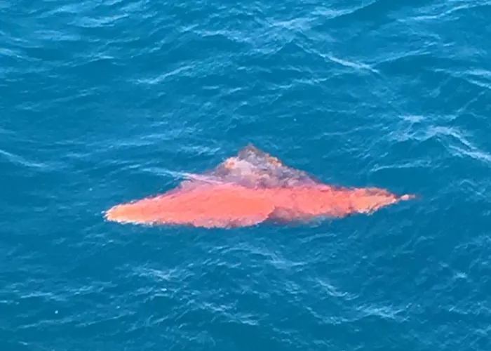 Апартаменты Estocolmo Lovely