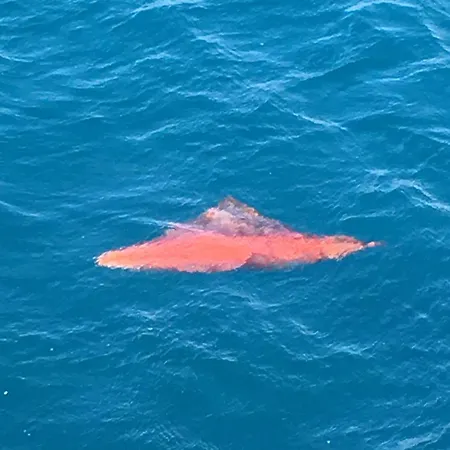 아파트 Estocolmo Lovely